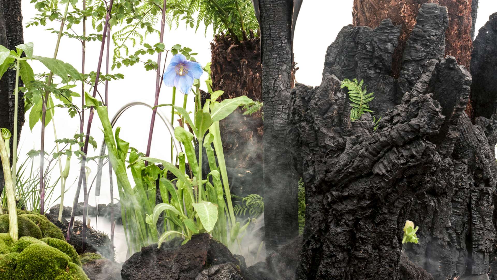 Dark Botanical Landscape Indoor Gardens as "Geological &amp; Futuristic" Living Objects