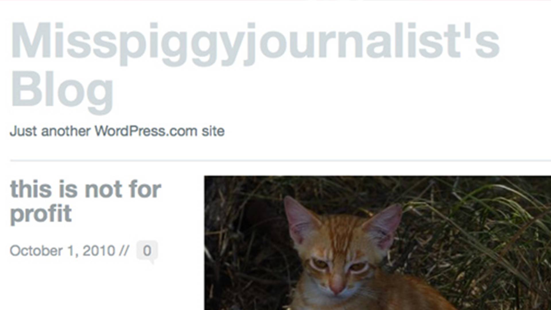Misspiggyjournalist&#039;s Blog