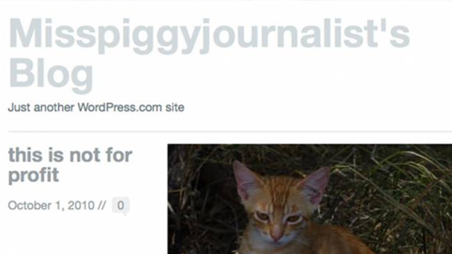 Misspiggyjournalist's Blog