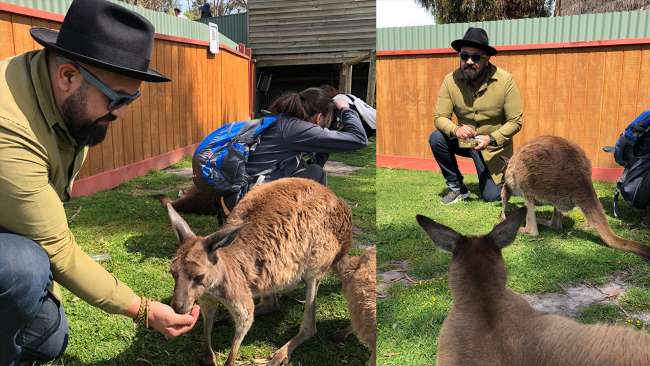 Studio Equator Welcomes New Client: Maru Koala &amp; Animal Park