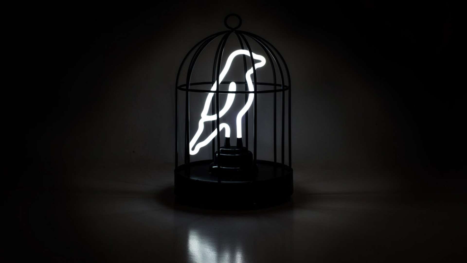 A Bird Shaped Neon light in a Cage